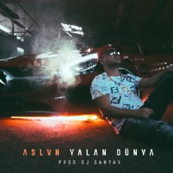 ASLVN Yalan Dünya