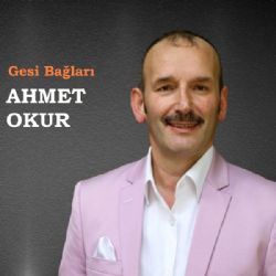 Ahmet Okur Gesi Bağları