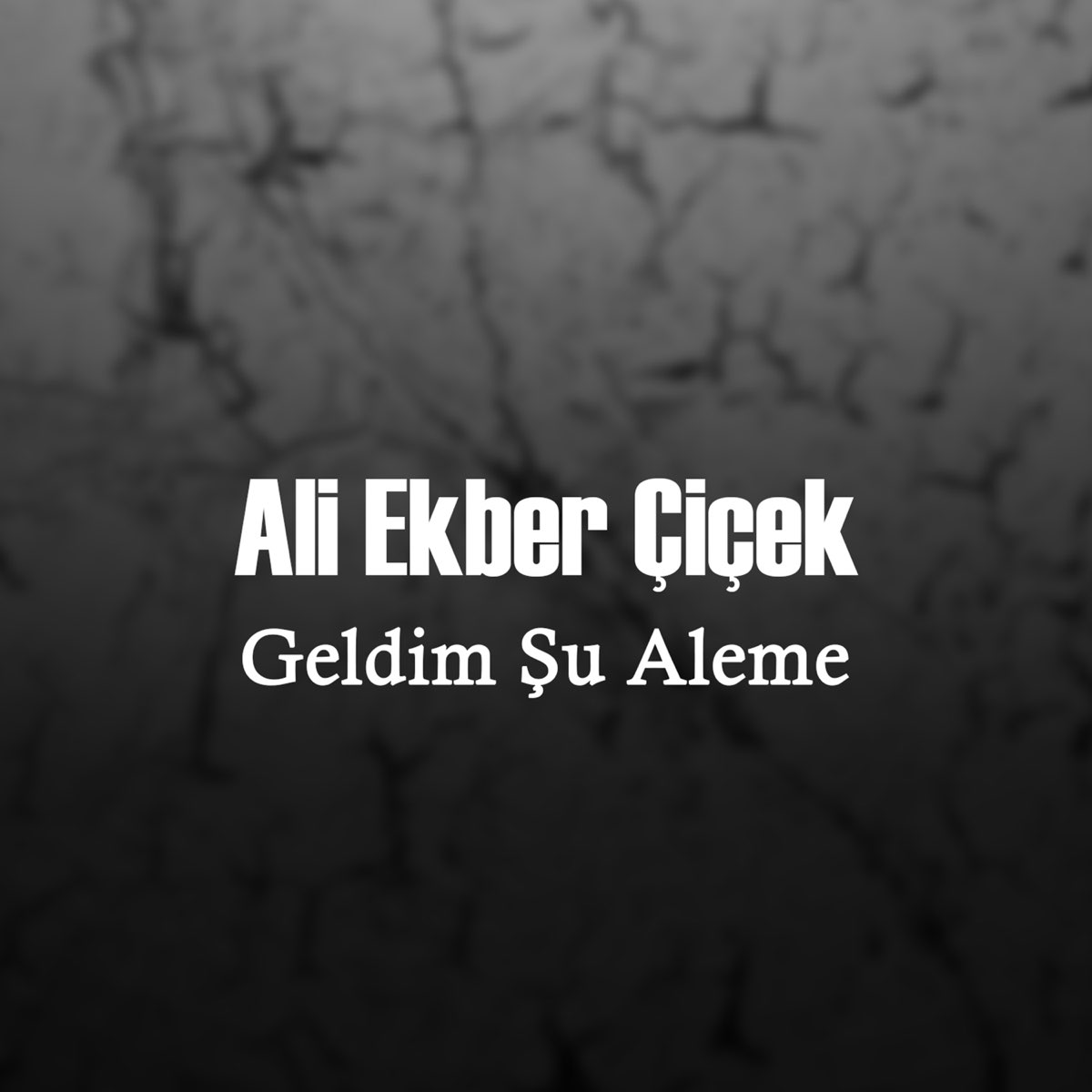 Ali Ekber Çiçek Geldim Şu Aleme