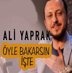 Ali Yaprak Öyle Bakarsın İşte