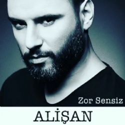 Alişan Zor Sensiz