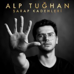 Alp Tuğhan Şarap Kadehleri