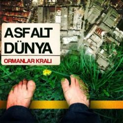 Asfalt Dünya Ormanlar Kralı