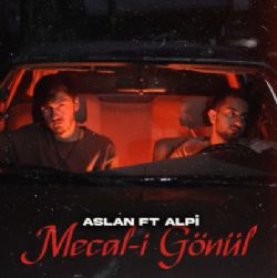 Aslan Mecali Gönül