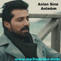 Aslan Sine Anladım