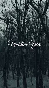 Umidim Yox