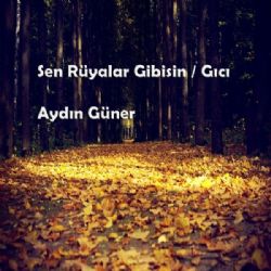 Aydın Güner Sen Rüyalar Gibisin