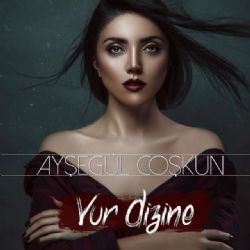 Ayşegül Coşkun Vur Dizine