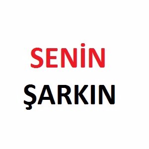 Bahtiyar Cebeli Senin Şarkın