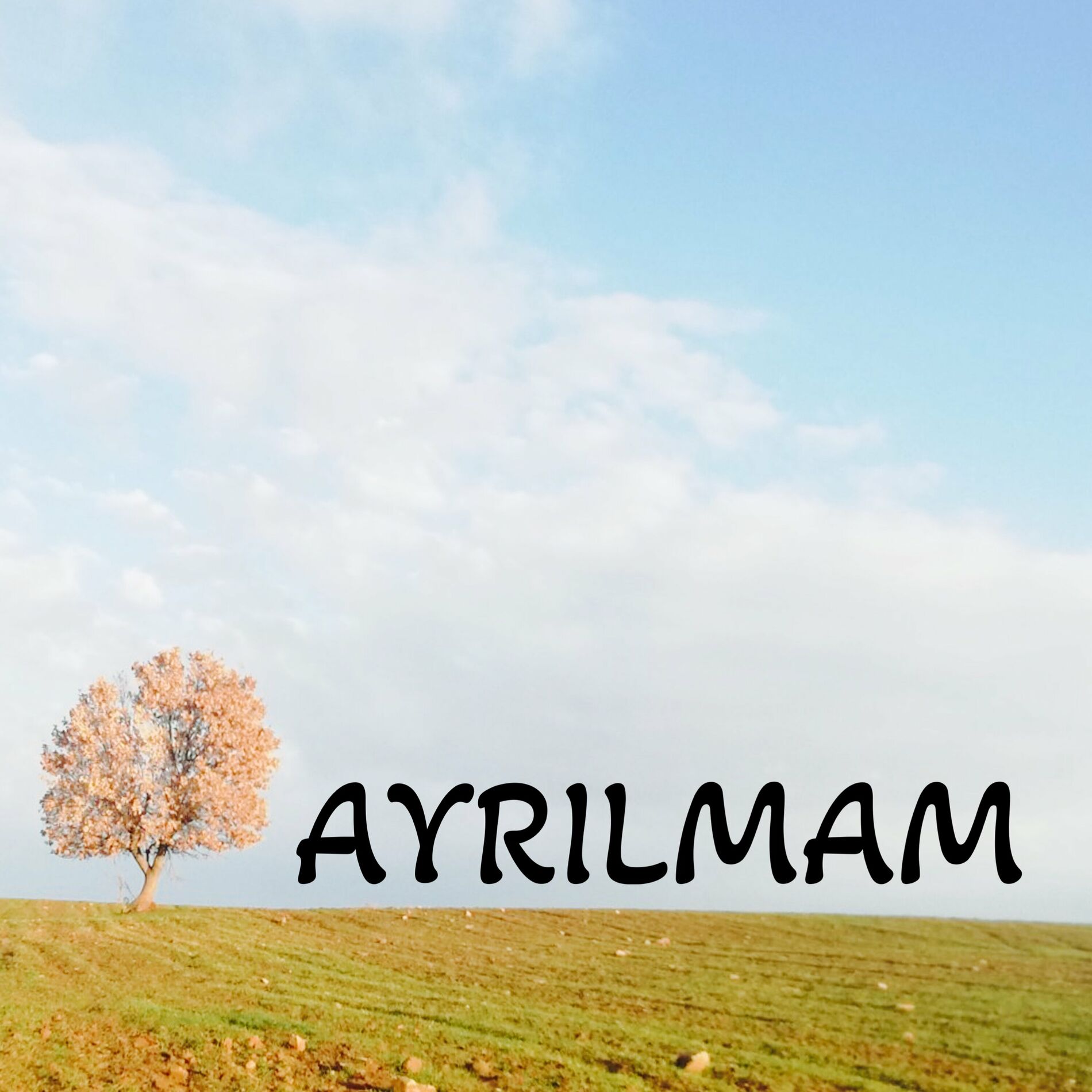 Berdan Mardini Ayrılmam