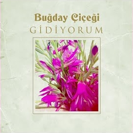 Buğday Çiçeği Gidiyorum