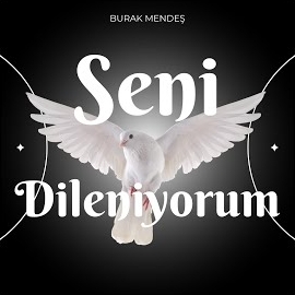 Burak Mendeş Seni Dileniyorum