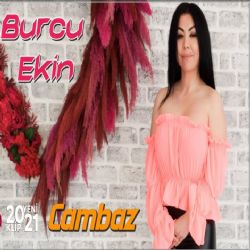 Burcu Ekin Cambaz