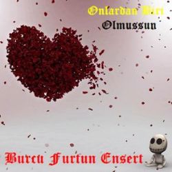 Burcu Furtun Ensert Onlardan Biri Olmuşsun