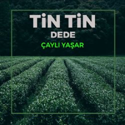 Çaylı Yaşar Tin Tin Dede