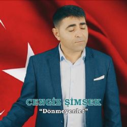 Cengiz Şimşek Dönmeyenler