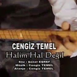 Cengiz Temel Halim Hal Değil