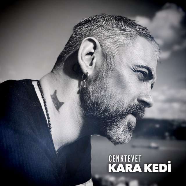 Cenk Tevet Kara Kedi