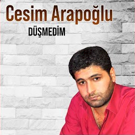 Cesim Arapoğlu Düşmedim