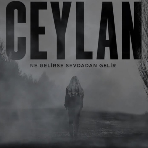 Ceylan Ne Gelirse Sevdadan Gelir