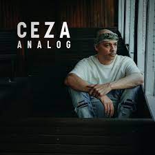 Ceza Analog