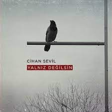 Cihan Sevil Yalnız Değilsin