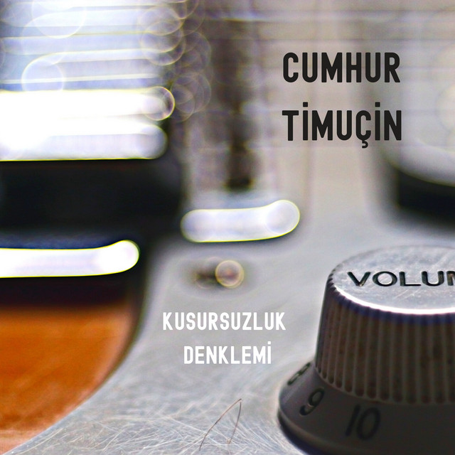 Cumhur Timuçin Kusursuzluk Denklemi