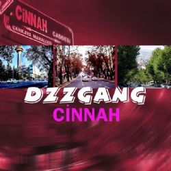 DZZGANG Cinnah