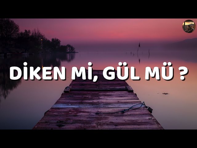 Dancehellqwe Diken Mi Gül Mü