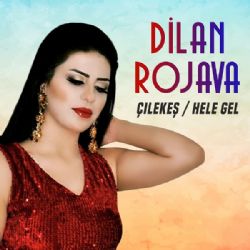 Dilan Rojava Çilekeş