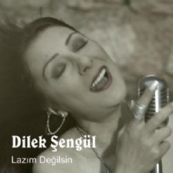 Dilek Şengül Lazım Değilsin