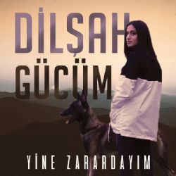 Dilşah Gücüm Yine Zarardayım