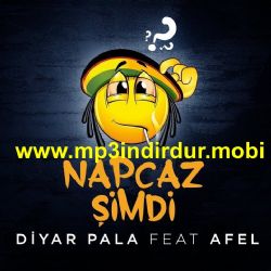 Diyar Pala Napcaz Şimdi