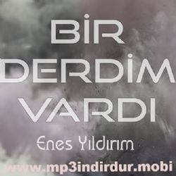 Enes Yıldırım Bir Derdim Vardı