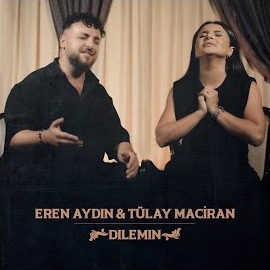 Eren Aydın Dılemın