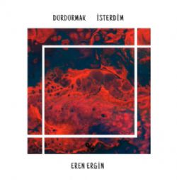 Eren Ergin Durdurmak İsterdim