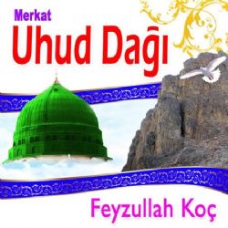 Feyzullah Koç Uhud Dağı