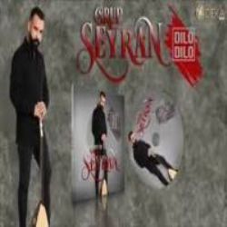 Grup Seyran Döneceğim