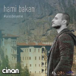 Hami Bakan Alo Desene