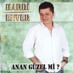 Harbi Enver Anan Güzel Mi