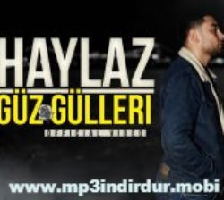 Haylaz Güz Gülleri