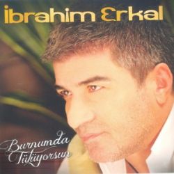 İbrahim Erkal Burnumda Tütüyorsun