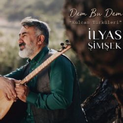 İlyas Şimşek Dem Bu Dem