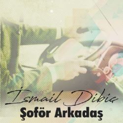 İsmail Dibiç Şoför Arkadaş