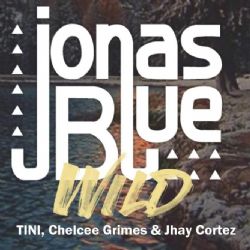 Jonas Blue Wild