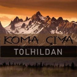 Koma Tolhildan Newroz