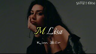 M Lisa Saygı 1