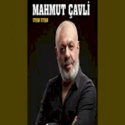 Mahmut Çavli Uyan Uyan