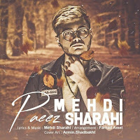 Mehdi Sharahi Paeez