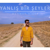 Mehmet Biçer Yanlış Bir Şeyler